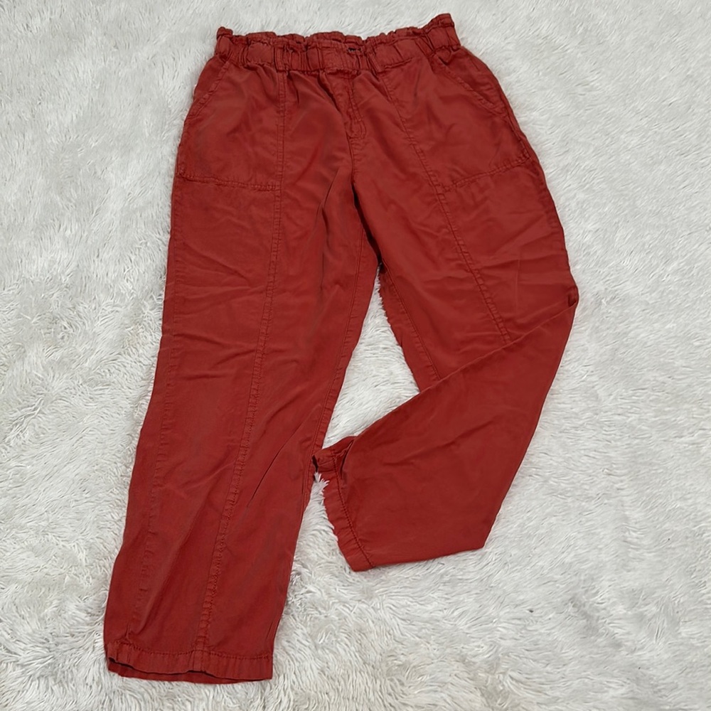 Sanctuary Cropped Drawstring Waist Pants in Brick Red